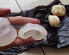 khasiat buah lontar