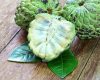 manfaat buah srikaya